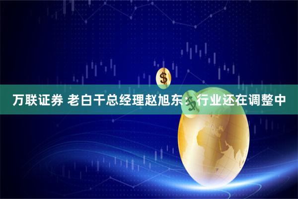 万联证券 老白干总经理赵旭东：行业还在调整中