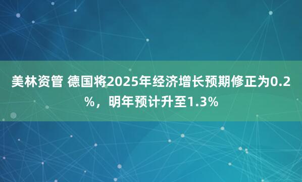 美林资管 德国将2025年经济增长预期修正为0.2%，明年预计升至1.3%