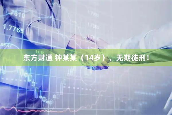 东方财通 钟某某（14岁），无期徒刑！