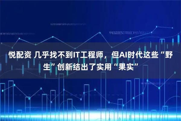 悦配资 几乎找不到IT工程师，但AI时代这些“野生”创新结出了实用“果实”
