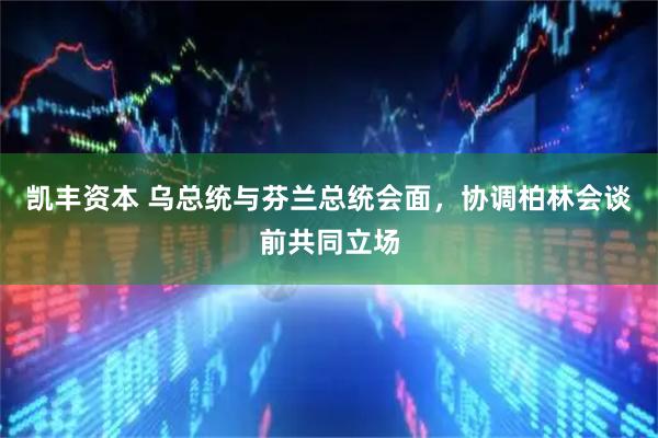 凯丰资本 乌总统与芬兰总统会面，协调柏林会谈前共同立场