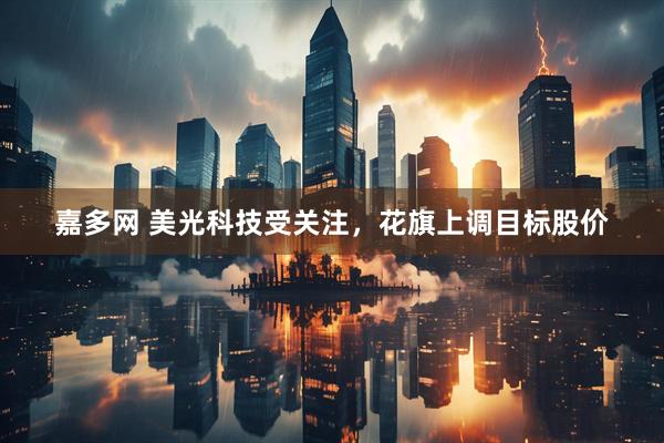 嘉多网 美光科技受关注，花旗上调目标股价