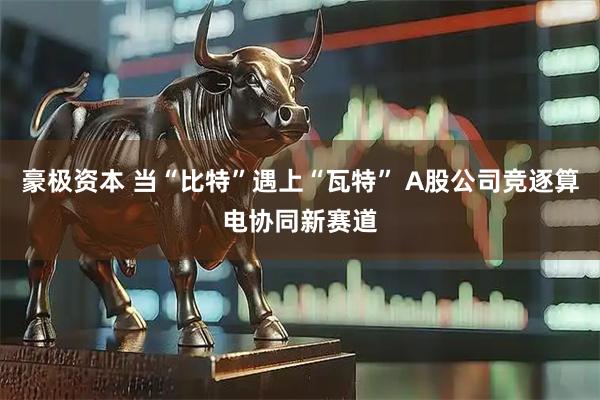 豪极资本 当“比特”遇上“瓦特” A股公司竞逐算电协同新赛道